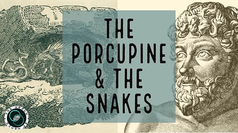 Porcupine and The Snakes | Aesop's Fables | The World of Momus Podcast