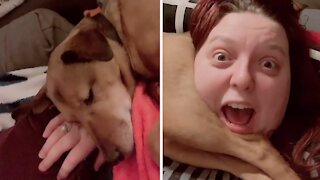 Sleeping dog totally farts on owner's head