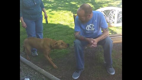 Dog Doesn't Recognize Owner After Weight Loss...Until He Sniffs