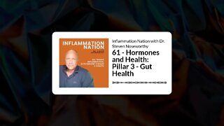Inflammation Nation with Dr. Steven Noseworthy - 61 - Hormones and Health: Pillar 3 - Gut Health