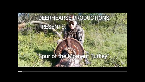 Jennings Turkey Hunts