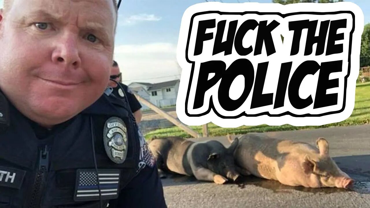 Live Reaction Idiot Cops Getting Owned Dumb Cops Dont Know Recording In Public Is Legal Live Reaction Idiot Cops Getting Owned Dumb Cops Dont Know Recording In Public Is Legal