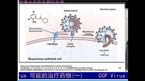 Medication that proved can cure Covid 19 – 1st part