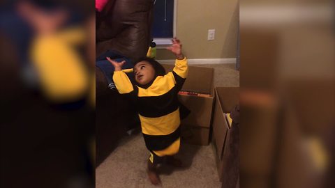 A Tot Boy In Bee Costume Spins In Circles As He Reaches For The Antenna On His Head