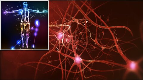 US Air Force Funding New Tech to 'Re- Programme' Human Cells for Miracle Healing!