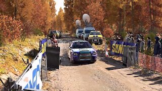 Dirt 4 - International Rally R-3 / USA Trophy Event 1/1 - Stage 3/4