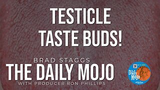 Testicle Taste Buds! - The Daily Mojo 052324