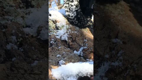 Traxxas TRX-4 - up close tire action in the snow