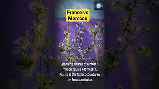 France vs Morocco #worldcup #France #Morocco