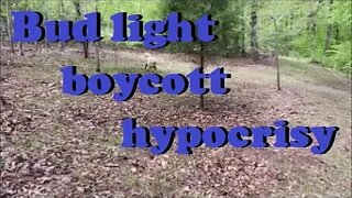 Bud light boycott hypocrisy