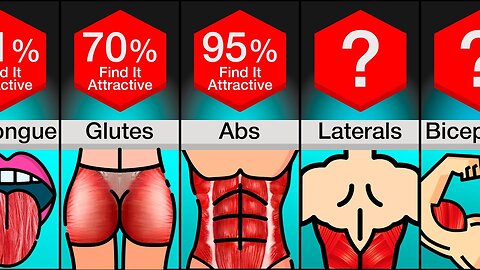 Comparison: Most Attractive Muscles