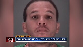 VIDEO: Pasco County deputies capture man wanted for armed carjacking