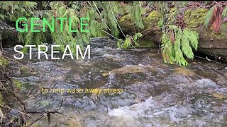 Enjoy the soothing sounds of a gentle stream with this calming video to help you relax and meditate
