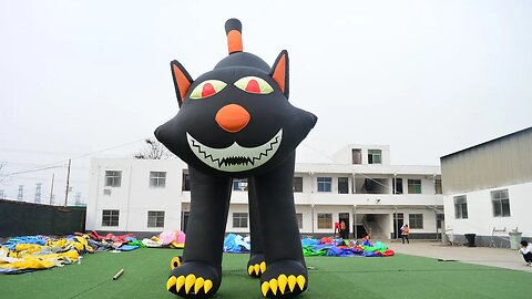 #factory bounce house#factory slide#bounce #bouncy #castle Giant Black Cat inflatable commercial