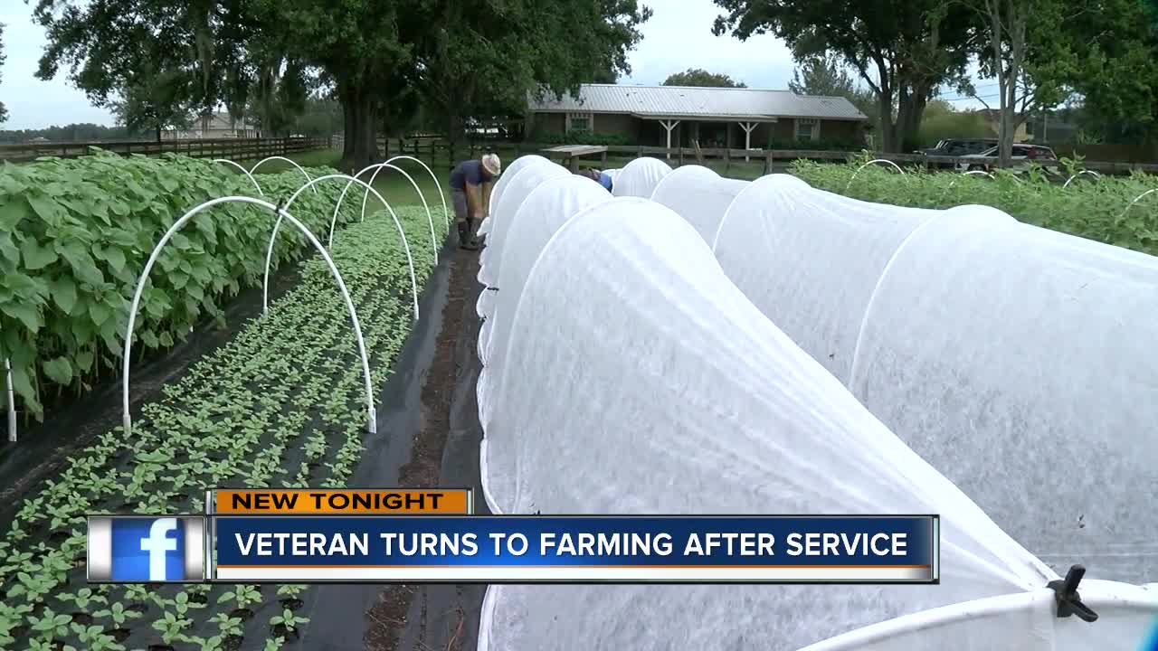 Military vet finds peace by planting new roots