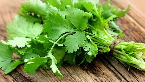 Not Enough Cilantro! - Four Story Walk Up