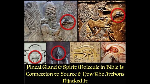 Pineal Gland & Spirit Molecule in Bible Is Connection to Source & How The Archons Hijacked It