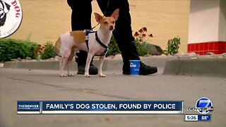 Dog taken by woman during man's seizure is found