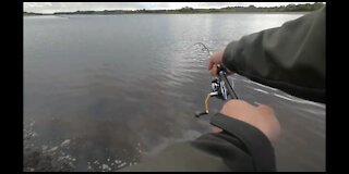 Estuary sea trout fishing on the Moy