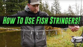 How To Use FISH STRINGERS. (CHEAP & EASY!)