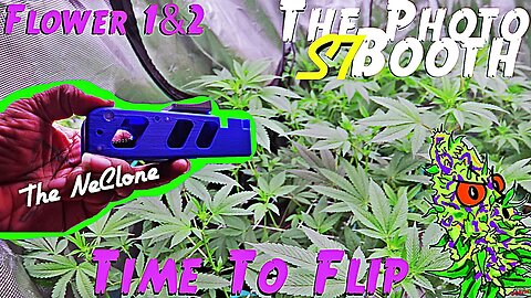 The Photo Booth S7 Ep. 7 | Flower Week 1 & 2 | Time To Flip | AirCube System Grow