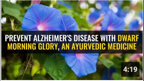 Prevent Alzheimer's disease with dwarf morning glory, an Ayurvedic medicine