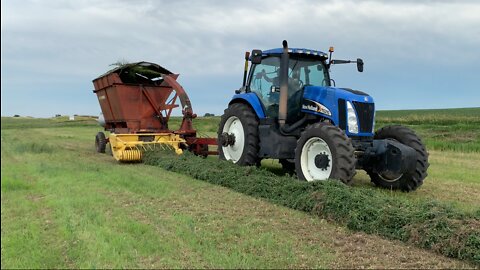 Cultivating Corn and Soybeans - Chopping and Bailing First Cut Alfalfa Hay!