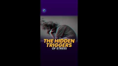 The Anatomy of Stress 🧠 explained by Dragon Vujovic