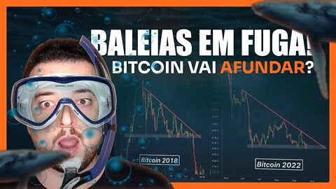 BITCOIN vai afundar? Baleias enviando BTC pras exchanges ⚠️