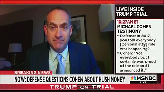 MSNBC Legal Analyst Floored After Michael Cohen Admits Stealing Cash from Trump Org: ‘Just an Opportunist Thief’