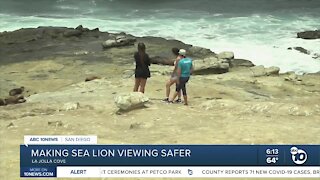 Making sea lion viewing safer