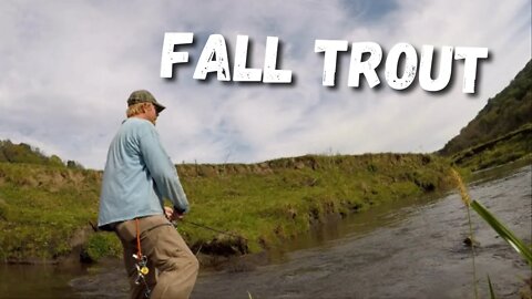 Fall Trout Fishing! Driftless Wisconsin Trout!