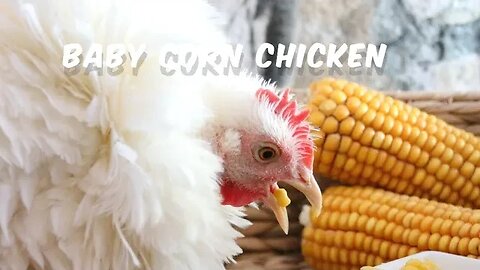 Delicious Chicken with baby corn: A Step-by-Step Guide. #babycornchicken #subscribe#delicious