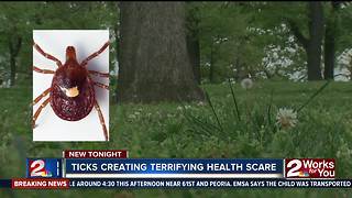 Woman bit by tick now has 'meat-allergy'