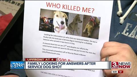 Family looking for answers after vet's service dog shot