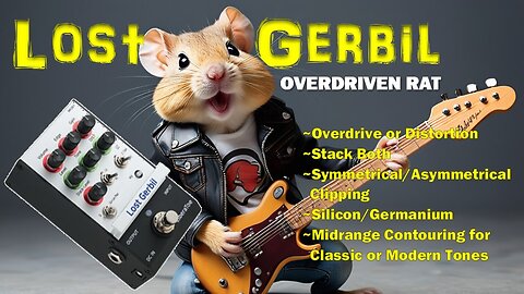 LOST GERBIL - Screaming Rat Distortion