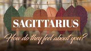 Sagittarius♐ Nothing is stopping them now for them to come to YOU! You will hear from them SOON🤩