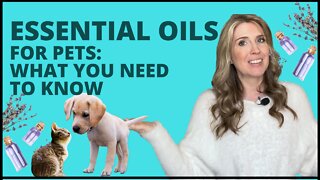 Essential Oils for Pets What You Need To Know
