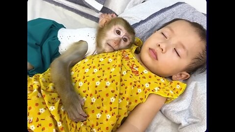 Monkey kaka is sad to see Diem crying because of leg injury