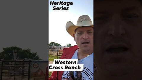 Wild Mustangs and Kids Helping Veterans Heritage Series with Western Cross Ranch #smalltownamerica