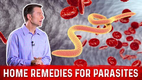 Best Home Remedies for Parasites – Dr. Berg