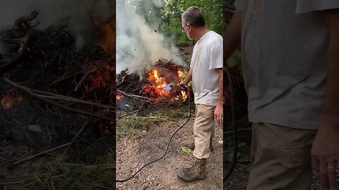 Propane Torching Roots and Japanese Knotweed