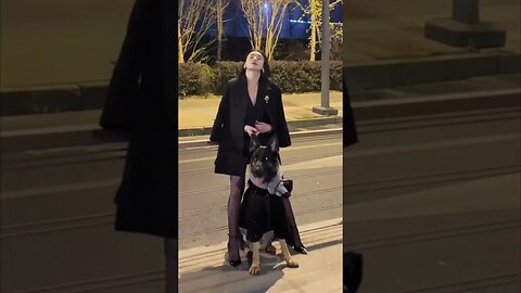 Smokin' Hot Chinese Girl Has A German Shepherd For Protection