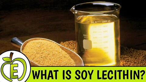 Soy Lecithin Why It Is Bad For You