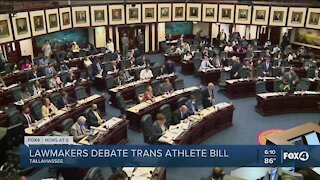 Bill banning trans girls from women's sports under debate