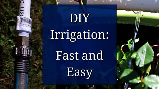 Drilled PVC Irrigation: Fast and Easy