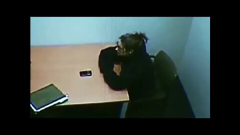 Andrea Sneiderman Interrogation