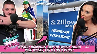 Mystery Monoliths, Bird Flu Parody, Zillow Drug Houses, and Playdate Payday - HWSR Ep 47