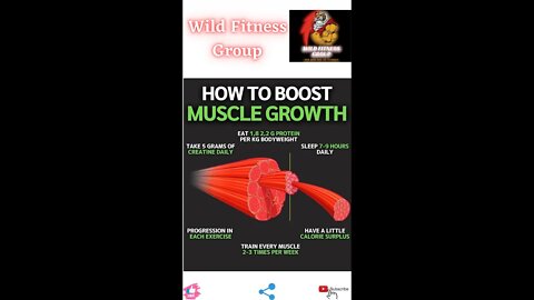 🔥How to boost muscle growth🔥#fitness🔥#wildfitnessgroup🔥#shorts🔥