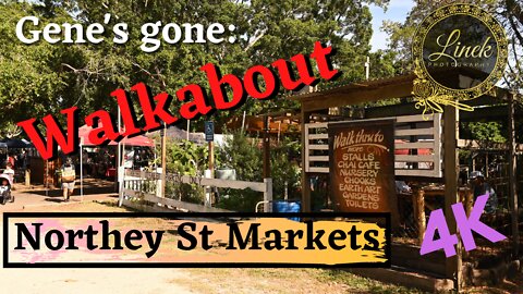 Northey St City Farm & Farmers Market | 2022 | Gone Walkabout | Brisbane Queensland, Australia.